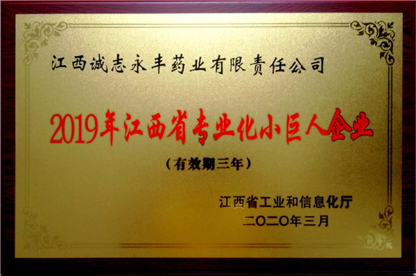2019年江西专业化小巨人企业