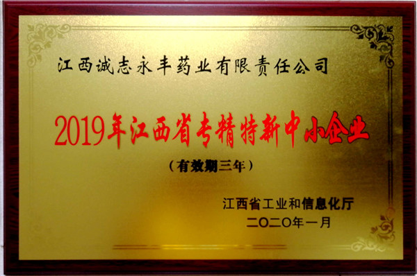 2019年江西专精特新中小企业